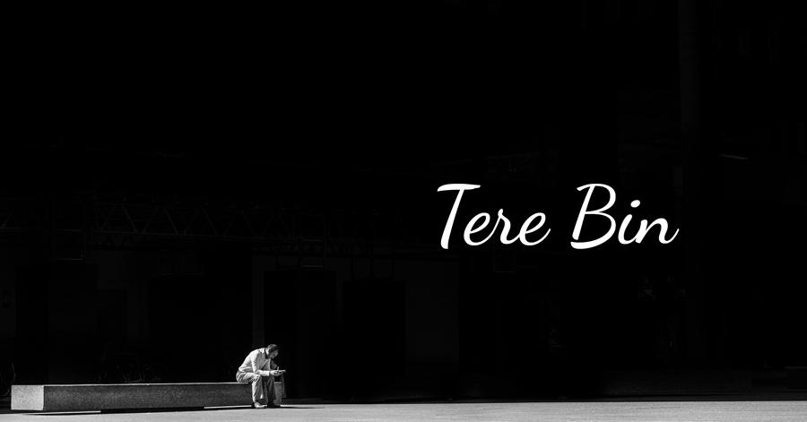 Tere Bin